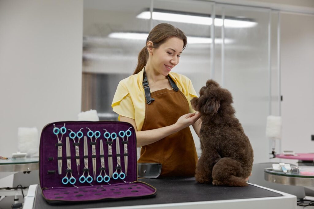 Portrait of professional pet groomer and cute poodle dog after fur treatment. Woman specialist feeling satisfied after good hairstyle work