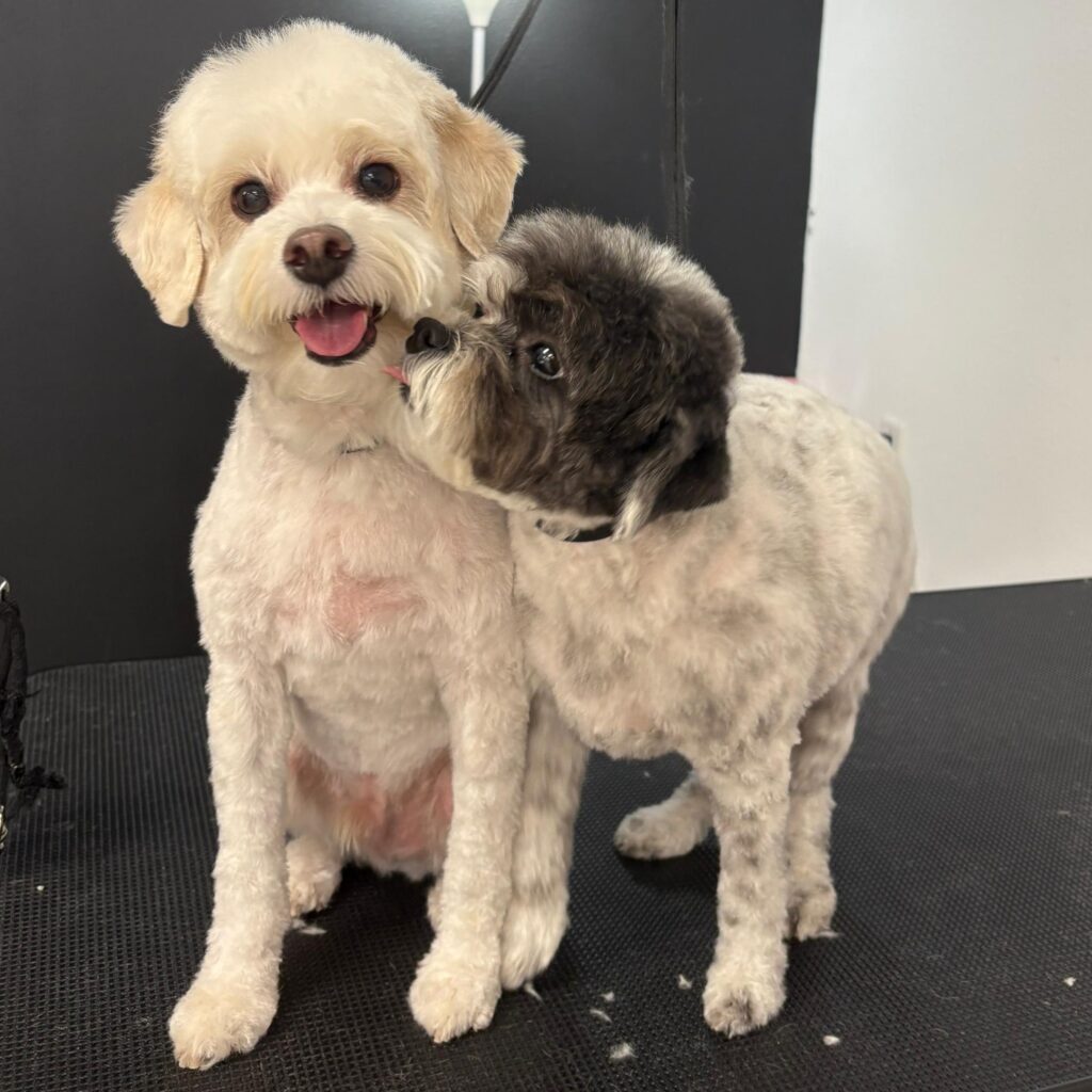 53896c98-794d-49cc-a041-0741c12b5e04